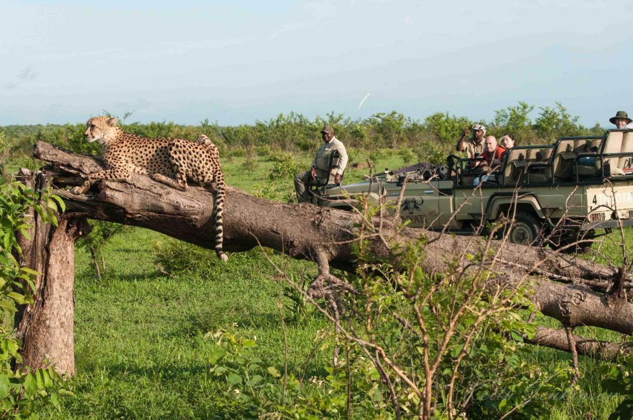 Inyati Game Lodge Sabi Sand Game Reserve Exterior photo