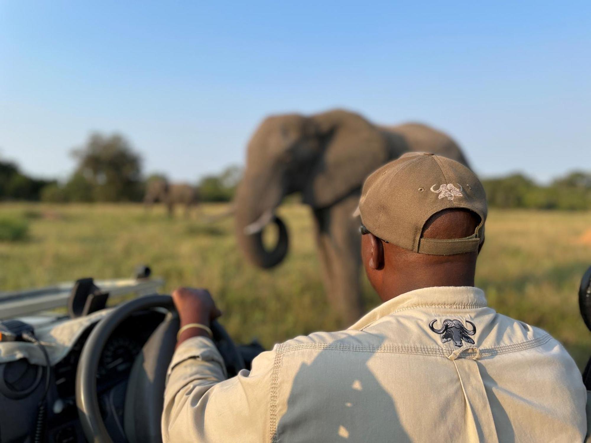 Inyati Game Lodge Sabi Sand Game Reserve Exterior photo