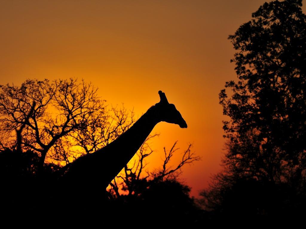 Inyati Game Lodge Sabi Sand Game Reserve Exterior photo