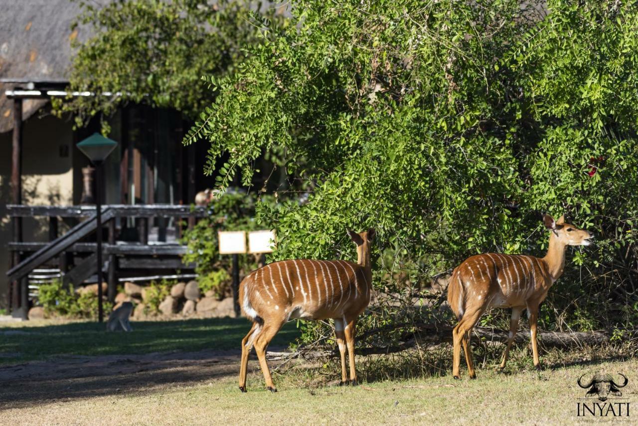 Inyati Game Lodge Sabi Sand Game Reserve Exterior photo